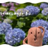 潮明寺_あじさい寺