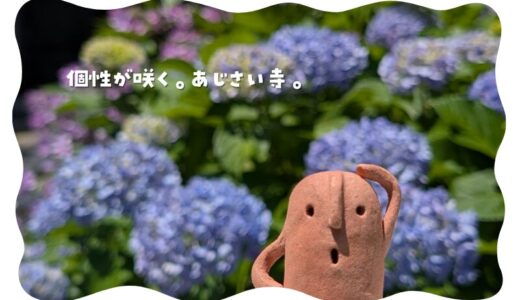 潮明寺_あじさい寺