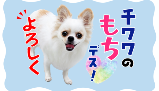 LINEスタンプ＆絵文字　チワワのもちデス！